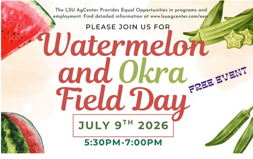 Watermelon and okra field day.